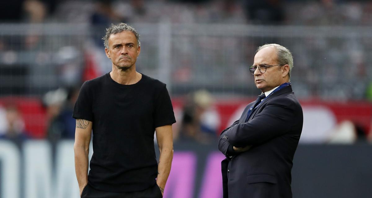 Luis Campos joue la montre dans le dossier Victor Osimhen !